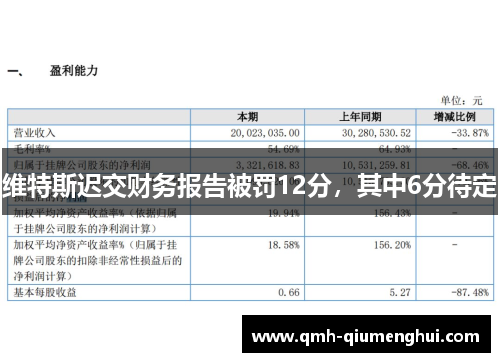 维特斯迟交财务报告被罚12分，其中6分待定